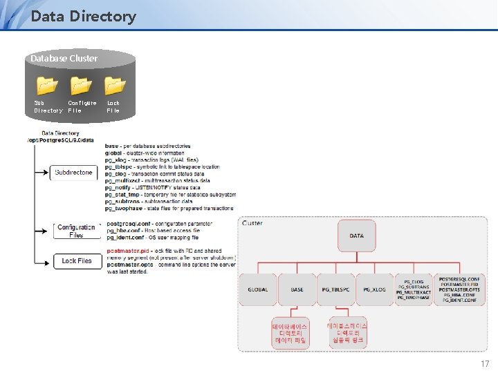 Data Directory Database Cluster Sub Configure Directory File Lock File 17 