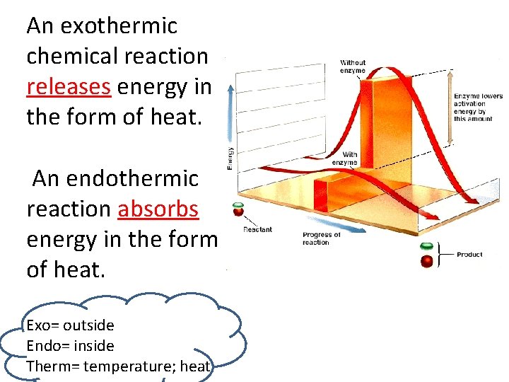 An exothermic chemical reaction releases energy in the form of heat. An endothermic reaction