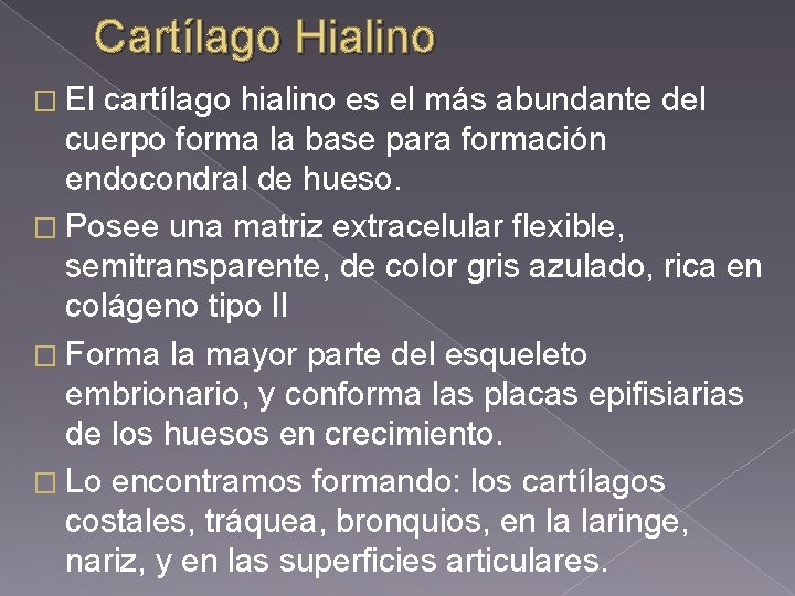 Cartílago Hialino � El cartílago hialino es el más abundante del cuerpo forma la