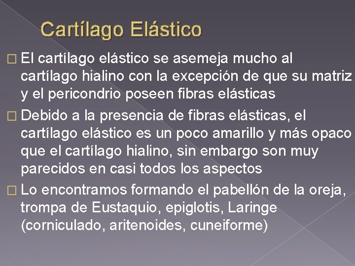 Cartílago Elástico � El cartílago elástico se asemeja mucho al cartílago hialino con la