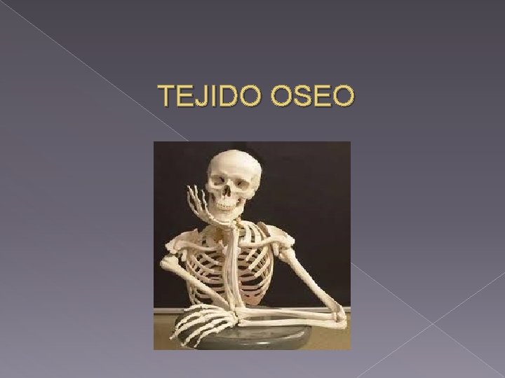 TEJIDO OSEO 