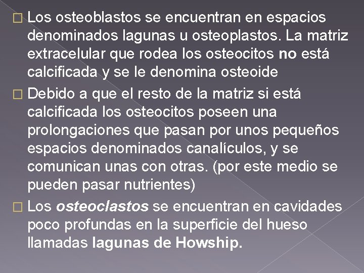 � Los osteoblastos se encuentran en espacios denominados lagunas u osteoplastos. La matriz extracelular