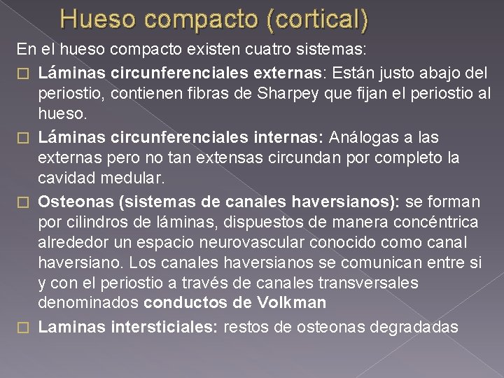 Hueso compacto (cortical) En el hueso compacto existen cuatro sistemas: � Láminas circunferenciales externas: