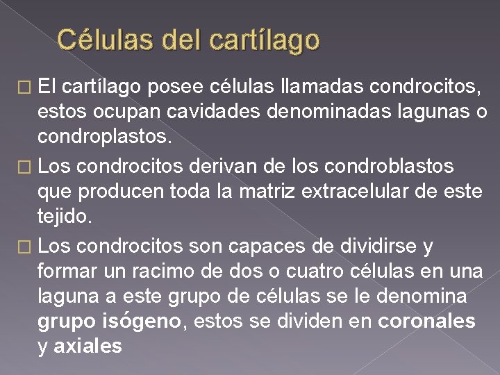 Células del cartílago � El cartílago posee células llamadas condrocitos, estos ocupan cavidades denominadas