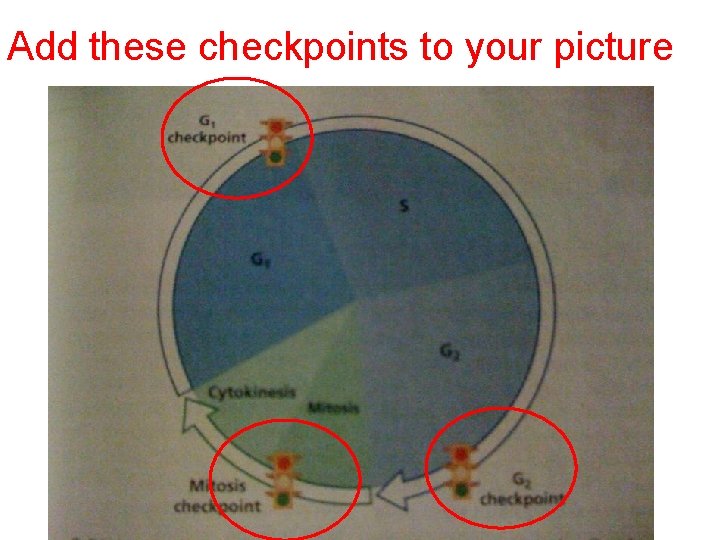 Add these checkpoints to your picture 