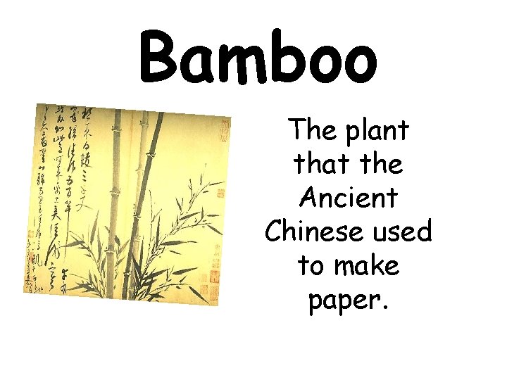 Bamboo The plant that the Ancient Chinese used to make paper. 
