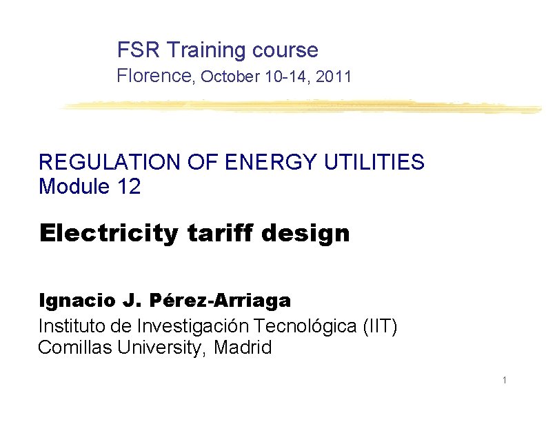 FSR Training course Florence, October 10 -14, 2011 REGULATION OF ENERGY UTILITIES Module 12