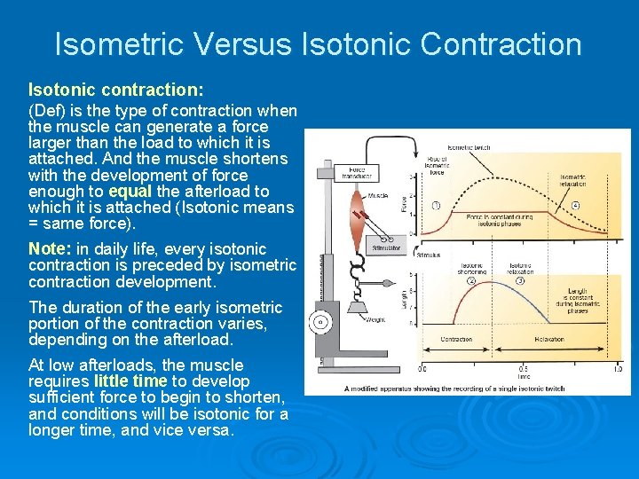 Isometric Versus Isotonic Contraction Isotonic contraction: (Def) is the type of contraction when the