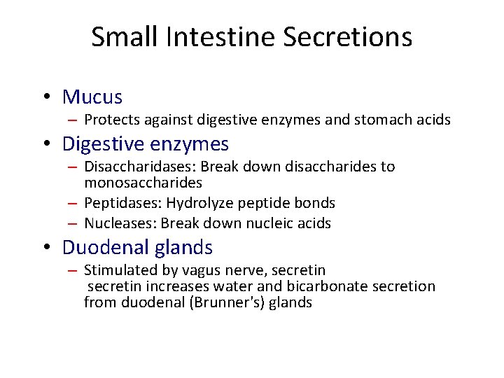 Small Intestine Secretions • Mucus – Protects against digestive enzymes and stomach acids •