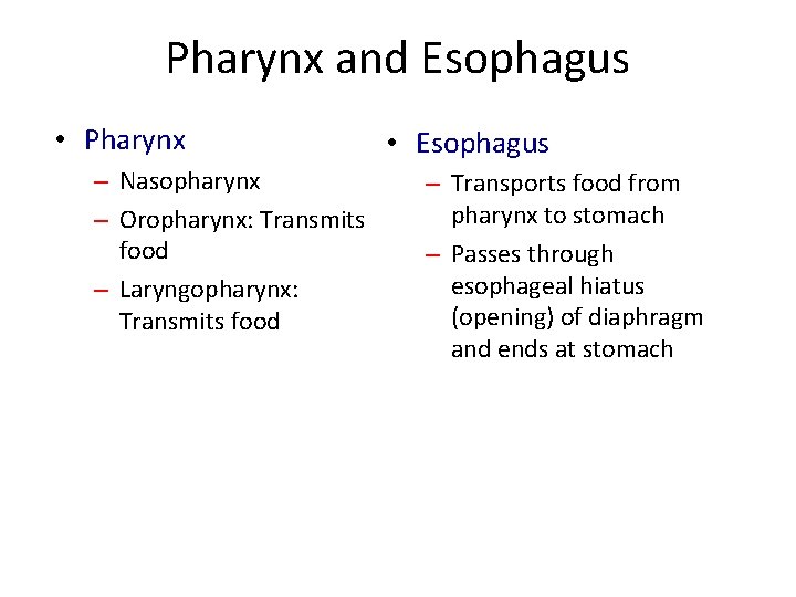 Pharynx and Esophagus • Pharynx – Nasopharynx – Oropharynx: Transmits food – Laryngopharynx: Transmits