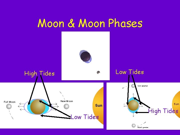 Moon & Moon Phases Low Tides High Tides Moon & Moon Phases Low Tides High Tides