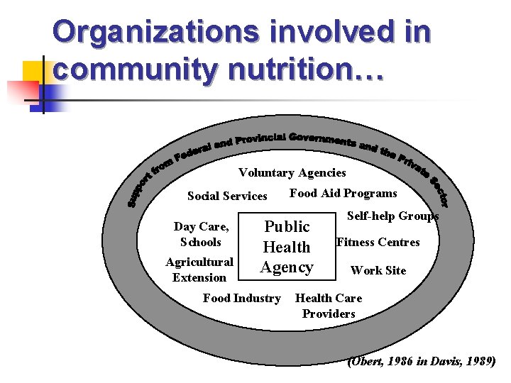 Organizations involved in community nutrition… Voluntary Agencies Social Services Day Care, Schools Agricultural Extension