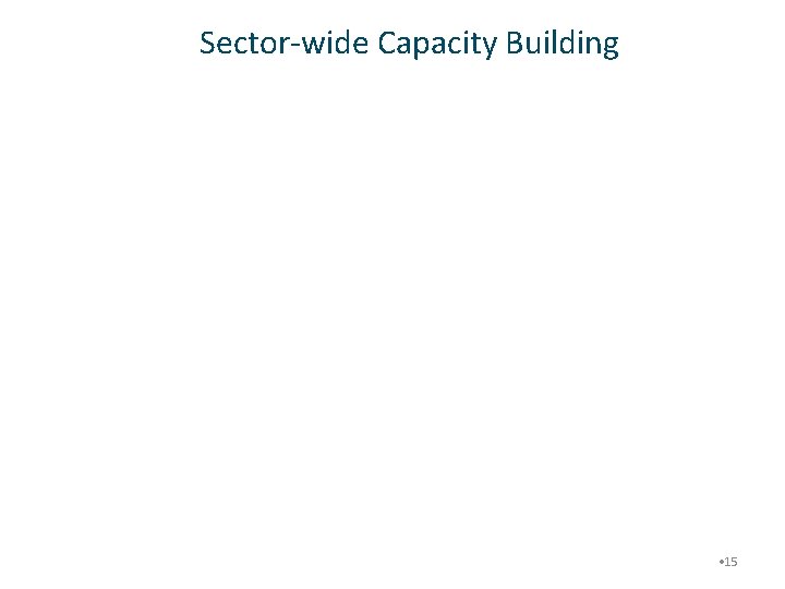 Sector-wide Capacity Building • 15 