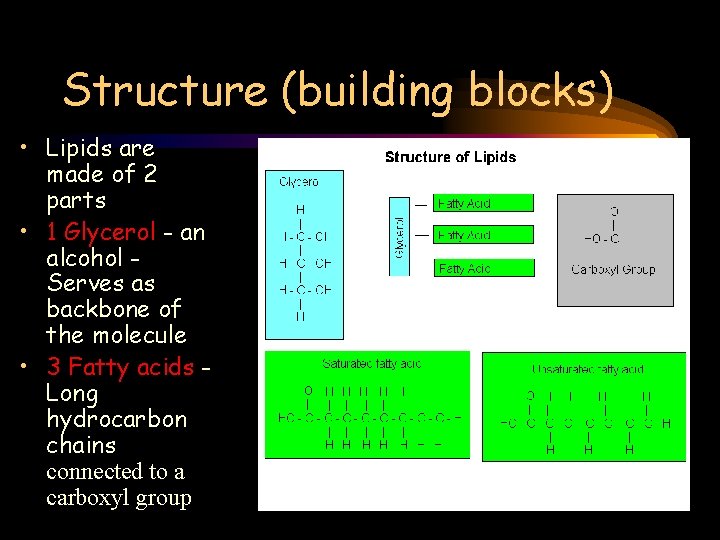 Structure (building blocks) • Lipids are made of 2 parts • 1 Glycerol -