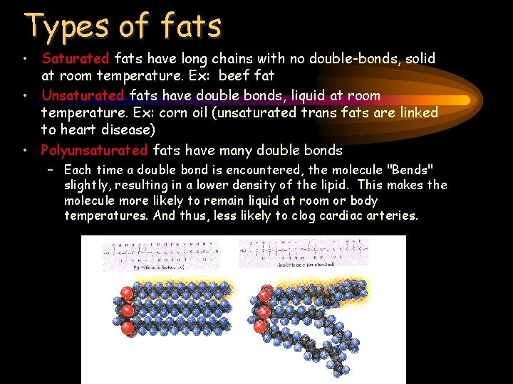 Types of fats • Saturated fats have long chains with no double-bonds, solid at