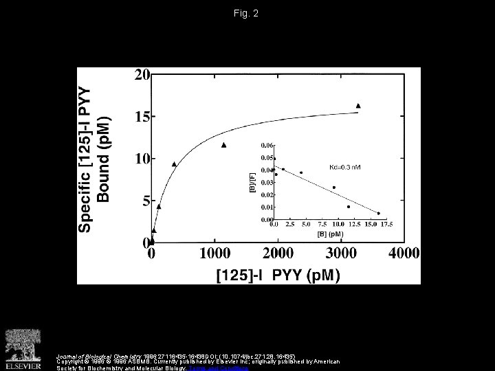 Fig. 2 Journal of Biological Chemistry 1996 27116435 -16438 DOI: (10. 1074/jbc. 271. 28.