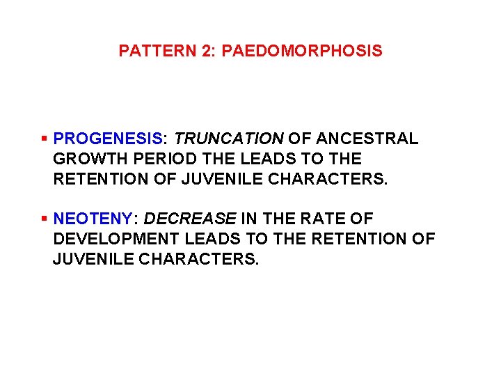 PATTERN 2: PAEDOMORPHOSIS § PROGENESIS: TRUNCATION OF ANCESTRAL GROWTH PERIOD THE LEADS TO THE