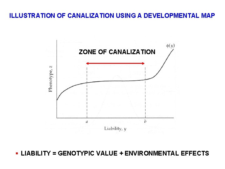 ILLUSTRATION OF CANALIZATION USING A DEVELOPMENTAL MAP ZONE OF CANALIZATION § LIABILITY = GENOTYPIC