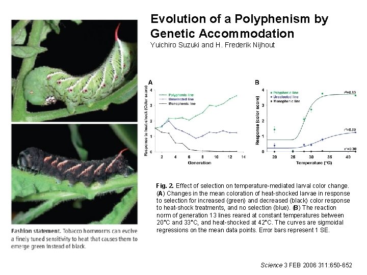 Evolution of a Polyphenism by Genetic Accommodation Yuichiro Suzuki and H. Frederik Nijhout Fig.