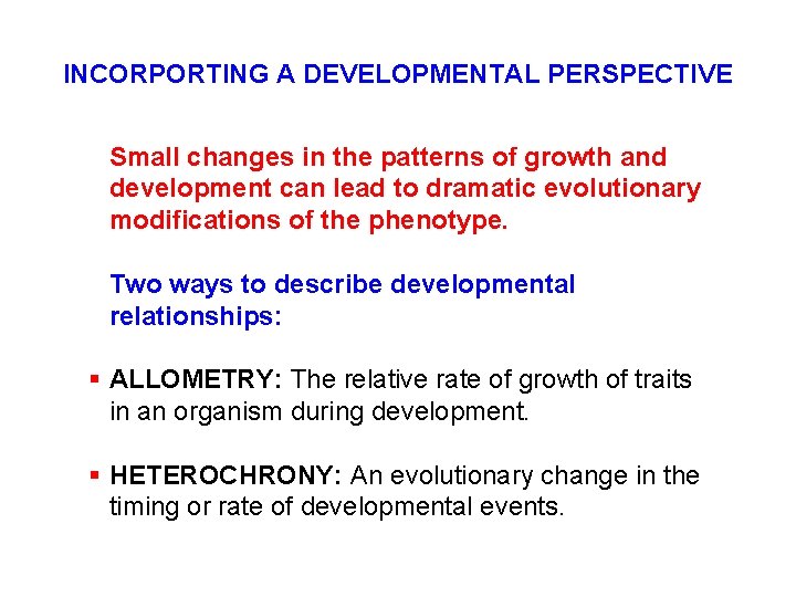 INCORPORTING A DEVELOPMENTAL PERSPECTIVE Small changes in the patterns of growth and development can