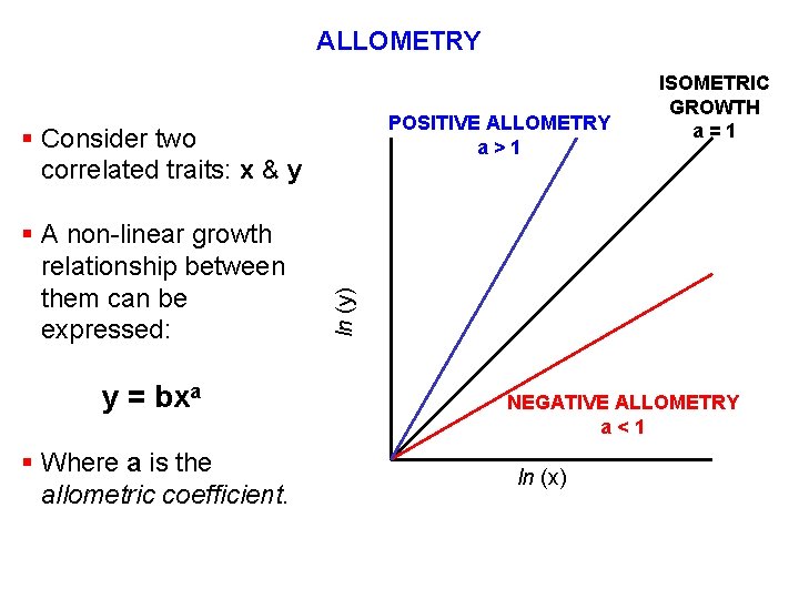 ALLOMETRY POSITIVE ALLOMETRY a>1 § A non-linear growth relationship between them can be expressed: