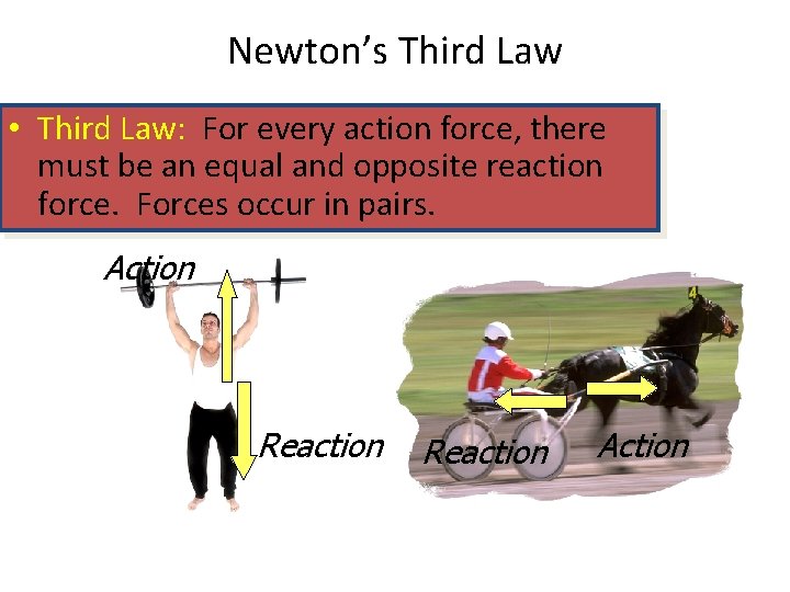 Newton’s Third Law • Third Law: For every action force, there must be an