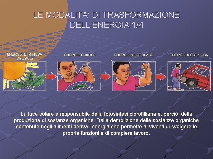 LE MODALITA’ DI TRASFORMAZIONE DELL’ENERGIA 1/4 ENERGIA LUMINOSA DEL SOLE ENERGIA CHIMICA ENERGIA MUSCOLARE