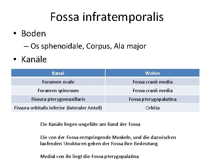 Fossa infratemporalis • Boden – Os sphenoidale, Corpus, Ala major • Kanäle Kanal Wohin