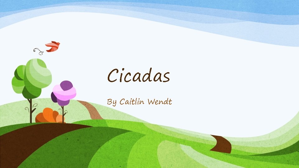 Cicadas By Caitlin Wendt 