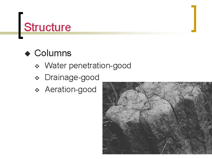 Structure u Columns v v v Water penetration-good Drainage-good Aeration-good 