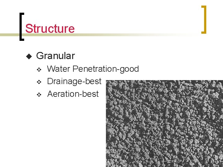 Structure u Granular v v v Water Penetration-good Drainage-best Aeration-best 