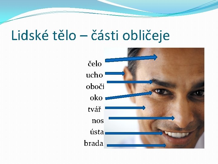 Lidské tělo – části obličeje čelo ucho obočí oko tvář nos ústa brada 