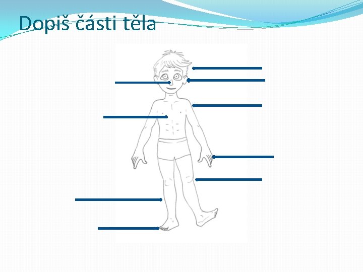 Dopiš části těla 