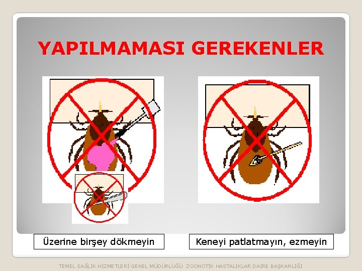 YAPILMAMASI GEREKENLER Üzerine birşey dökmeyin Keneyi patlatmayın, ezmeyin TEMEL SAĞLIK HİZMETLERİ GENEL MÜDÜRLÜĞÜ ZOONOTİK