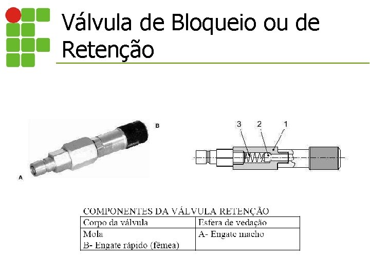 Válvula de Bloqueio ou de Retenção 