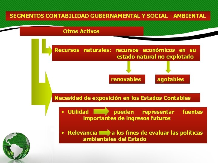 SEGMENTOS CONTABILIDAD GUBERNAMENTAL Y SOCIAL - AMBIENTAL Otros Activos Recursos naturales: recursos económicos en