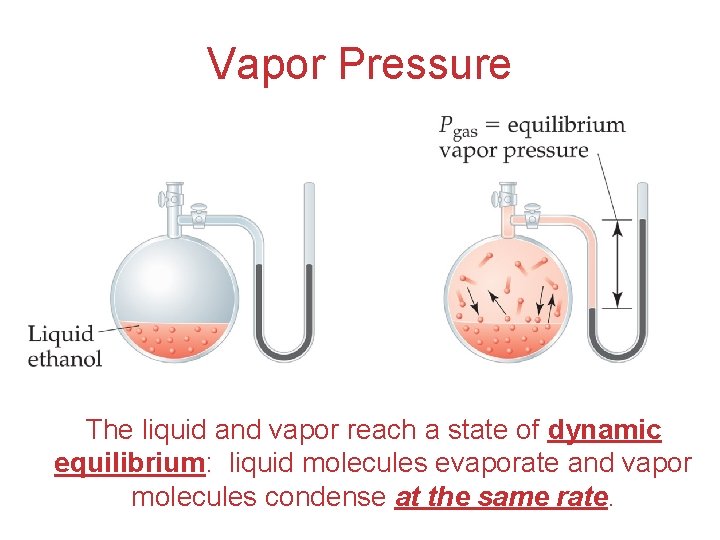 Vapor Pressure The liquid and vapor reach a state of dynamic equilibrium: liquid molecules
