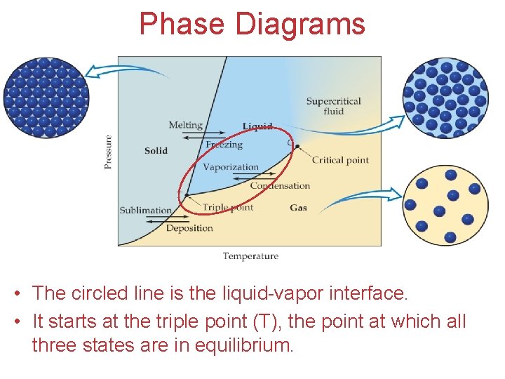 Phase Diagrams • The circled line is the liquid-vapor interface. • It starts at