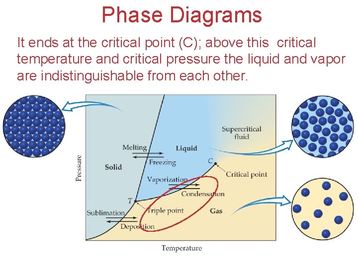 Phase Diagrams It ends at the critical point (C); above this critical temperature and