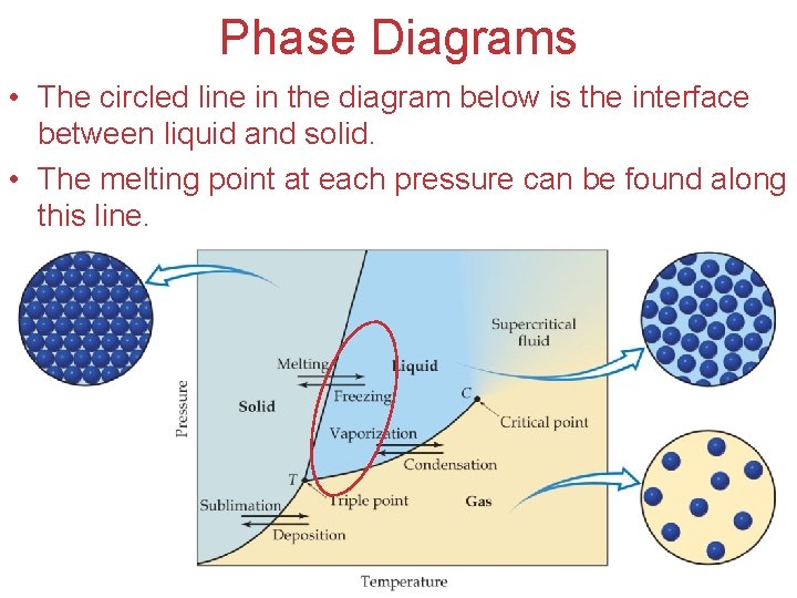 Phase Diagrams • The circled line in the diagram below is the interface between