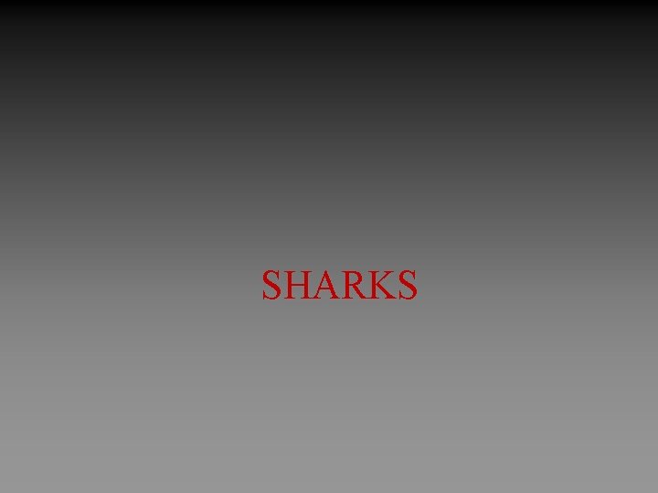 SHARKS 