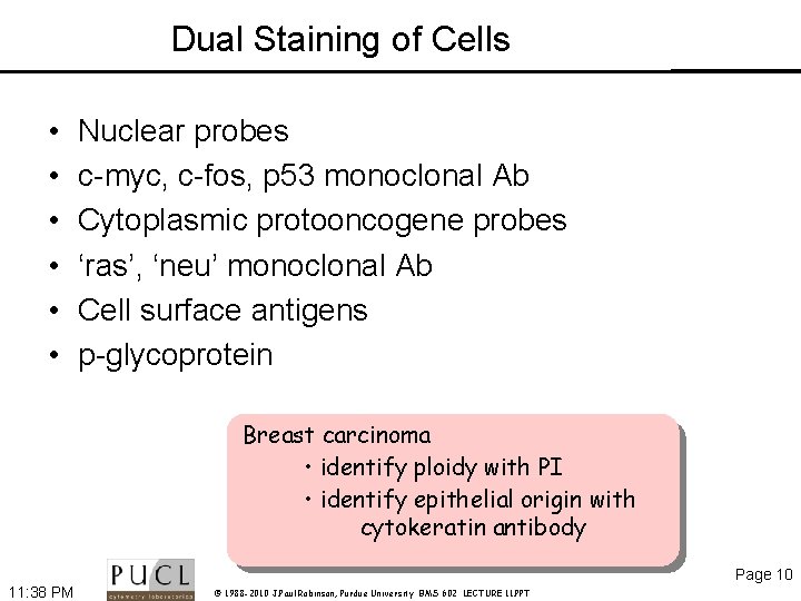 Dual Staining of Cells • • • Nuclear probes c-myc, c-fos, p 53 monoclonal