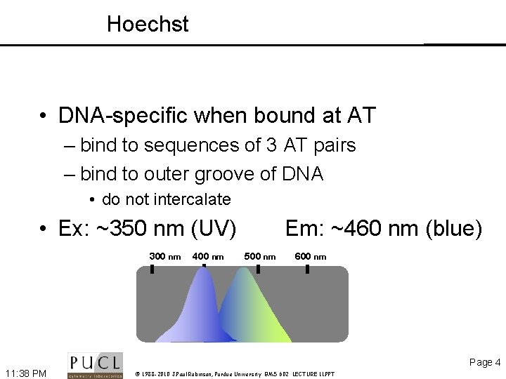 Hoechst • DNA-specific when bound at AT – bind to sequences of 3 AT