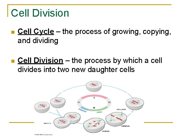 Cell Division n Cell Cycle – the process of growing, copying, and dividing n