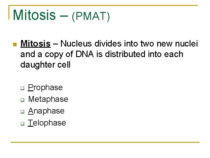 Mitosis – (PMAT) n Mitosis – Nucleus divides into two new nuclei and a