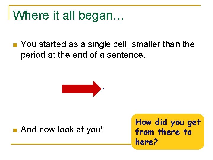 Where it all began… n n You started as a single cell, smaller than