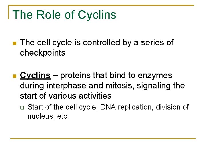 The Role of Cyclins n The cell cycle is controlled by a series of