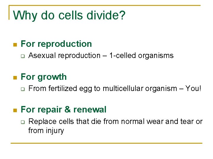 Why do cells divide? n For reproduction q n For growth q n Asexual