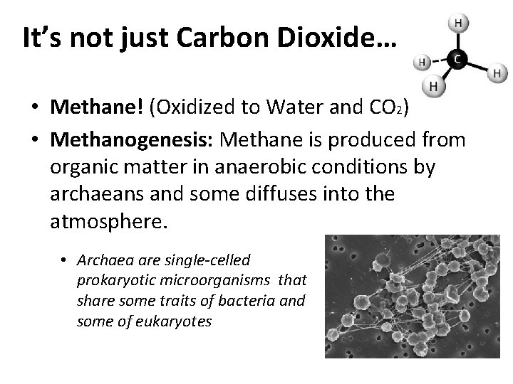 It’s not just Carbon Dioxide… • Methane! (Oxidized to Water and CO 2) •