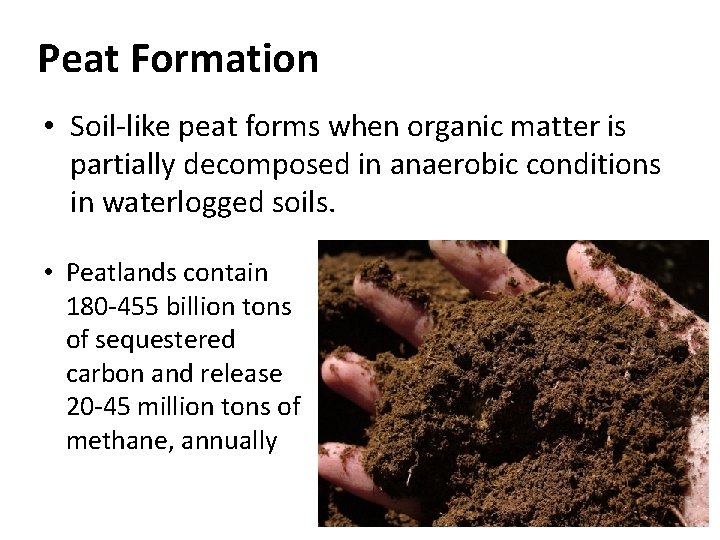 Peat Formation • Soil-like peat forms when organic matter is partially decomposed in anaerobic